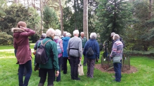 Volunteer guiding a group of visitors around Westonbirt Arboretum